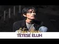 Download Lagu Karaoke - Tetese Eluh - Catur Arum (Official Video Karaoke ANEKA SAFARI)