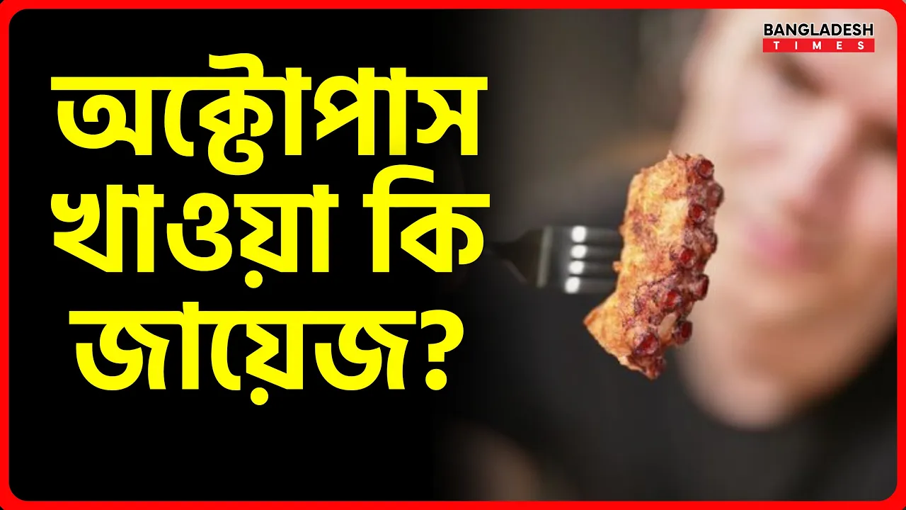অক্টোপাস খাওয়া কি জায়েজ? | ইসলামিক টিপস