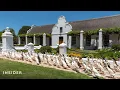 How Ducks Are Keeping A South African Vineyard Pest-Free Insider News