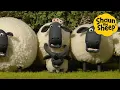 Download Lagu Think of the Children🐑 Shaun the Sheep 🐑  - Cartoons for Kids 🐑 Full Episodes Compilation [1 hour]