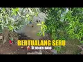 Download Lagu [FULL] Bertualang Seru Ke Negeri Baru | BOCAH PETUALANG (16/06/21)