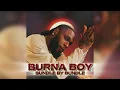 Burna Boy - Bundle By Bundle (New Music)
