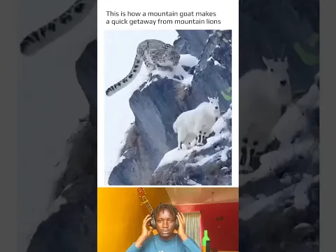 Bro is simply goating. 🐐😭