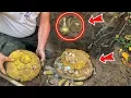The Treasure That Will Change World History❗️ [ Strange Treasure Hunt With a Metal Detector ]