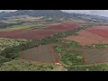 Hawaiian Upcountry Music 🌄 2 Hours of Slack Key Guitar for Cool Air & Open Land