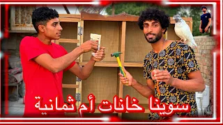 اليوم سوينا خانات مال الطيور حمودي سكيت2024 