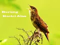 Download Lagu \