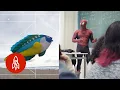 5 Creative Approaches to Math and Science