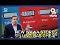Wawa gone wild Station draws crowds with 3 95 gas
