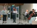 Sparkling Cosmos - muziek van Ad de Jong - piano, fluit en cello