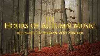 Autumn Playlist - Celtic / Fantasy / Forest Music by Adrian von Ziegler