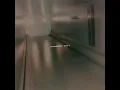 elevator girl ft. Ivy Sole
