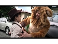 Get more out of your drive with Shell FuelSave