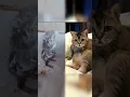 Download Lagu Kelakuan aneh tikus mandi dengan sabun