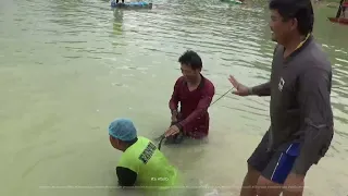ไม่คิดว่าจะเยอะขนาดนี้! หว่านแหเอ็นลงไป ดึงปลาใหญ่ขึ้นมาทั้งฝูง