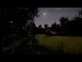 Download Lagu Suasana Sawah | Suara Musim Panas Tropis (Angin, Jangkrik, Jangkrik, dan Katak) di Malam Hari