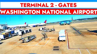 DCA Terminal 2 Gates and Concourse