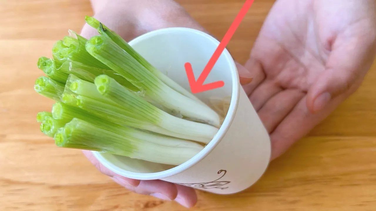 把小蔥放進一次性紙杯里，擺在陽台上作用太厲害了，鄰居見了都紛紛學