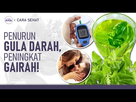 Ramuan Kemangi untuk Diabetes dan Vitalitas