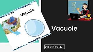 Vacuole l Plant animal vacuole l cell structure and function l XI biology