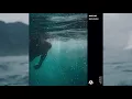 Misc.Inc - I Belong To You
