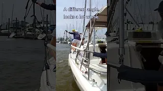 Coming into the Dock with no Motor #shorts