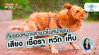 เห็บและหมัดมีแนวโน้มเพิ่มขึ้นในช่วงหน้าฝนเพราะเหตุใด