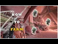 how to farm Benign Infested Tumors in warframe