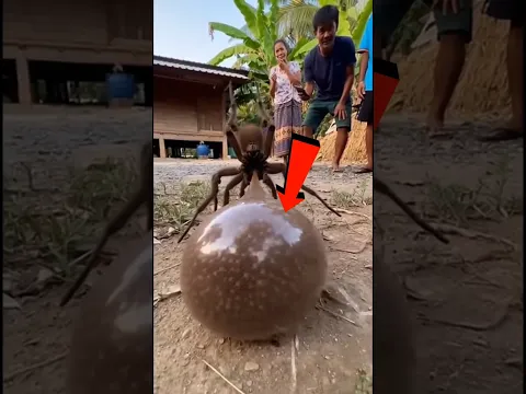 ¡3 Animales Que Nacen De Formas Tan Extrañas Que Parecen Falsos! (Parte 3) 😱