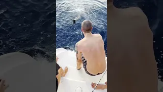 Sketch! We had this branch stuck on our running gear… safe though ⛵️#sailingfamily #sailinglife