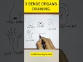 Draw Five Sense Organs Drawing Easy