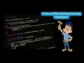 Expert Responsive Bug Error Issues Fixing in 24 Hours
