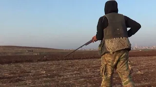 طيور صيد الزرعي احلى صياد ابو محمود من بعدك مافي الله يبارك 