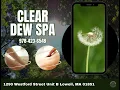 Clear Dew Spa