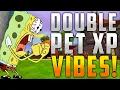 Wizard101 Double Pet XP Time