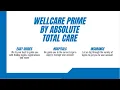 Wellcare Prime by Absolute Total Care 2023