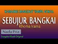Download Lagu SEBUJUR BANGKAI, RHOMA IRAMA, KARAOKE DANGDUT TANPA VOKAL NADA PRIA