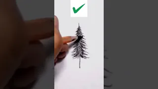 Right Way To Draw Pine Tree Art Ytshorts Shorts Short 
