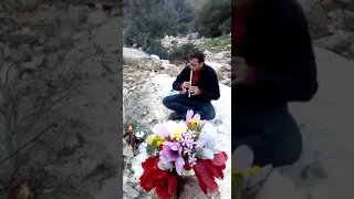 عزف شبابه اردنيه اصيله 