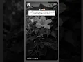 Download Lagu ⚜️Apni achhai pr💞 itna bharosa rkho💯#hearttouchingsayari #whatsappstatus #shortvideos 🖤💫🍂