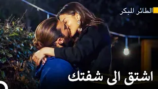 أمسكني يا حبيبي   سلسل الطائر المبكر دندنها