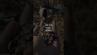 قال لا تخافا إنني معكما أسمع وأرى اكتب شيء تؤجر عليه قرآن Quran راحة نفسيه تلاوة خاشعة 