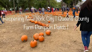 Reopening New York City Queens County Farm Pumpkin Patch