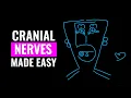 Cranial Nerves Made Easy How to Memorize your Cranial Nerves I - XII