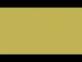 Vegas Gold Screen for 30 minutes