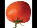 Download Lagu Walking Tomato