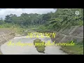 Download Lagu MUSIK INSTRUMEN PENGANTAR TIDUR || SERENADE ||