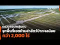 Download Lagu ตรวจสอบกลุ่มทุนรุกพื้นที่เขตห้ามล่าสัตว์ป่าทะเลน้อย กว่า 2,000 ไร่ | จับตารอบทิศ | 3 ก.ค. 68