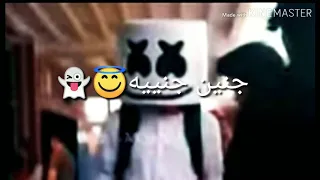 حاله واتس عقلي مش موجود قلبي مفقود مفيش منيه  دندنها