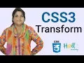 CSS3 basic tutorial Bangla Transform